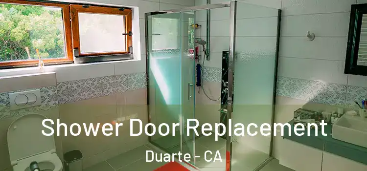 Shower Door Replacement Duarte - CA